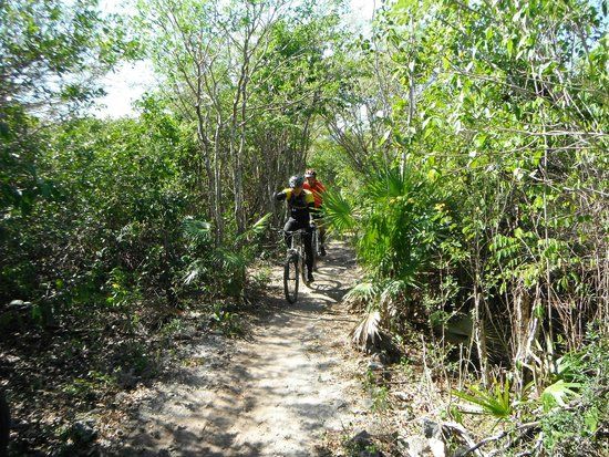 El Cenote Chaak Tun